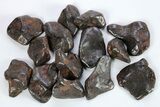 Canyon Diablo Iron Meteorites (4-6 Grams) - Arizona - Photo 4